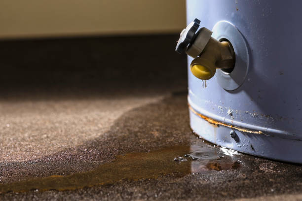 Best Water damage restoration mold remediation  in Riverdale, GA