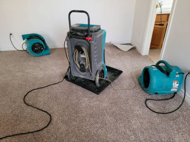 Best Water damage contractors near me  in Riverdale, GA