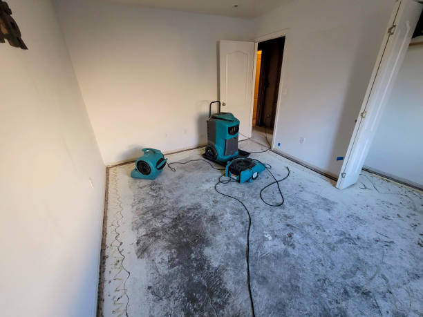 Best Fire Damage Restoration  in Riverdale, GA