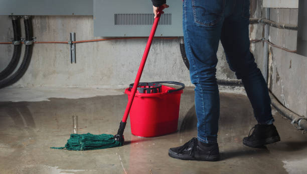 Best Basement water damage restoration  in Riverdale, GA