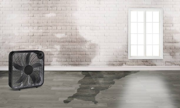 Best Sewage cleanup and water damage restoration  in Riverdale, GA