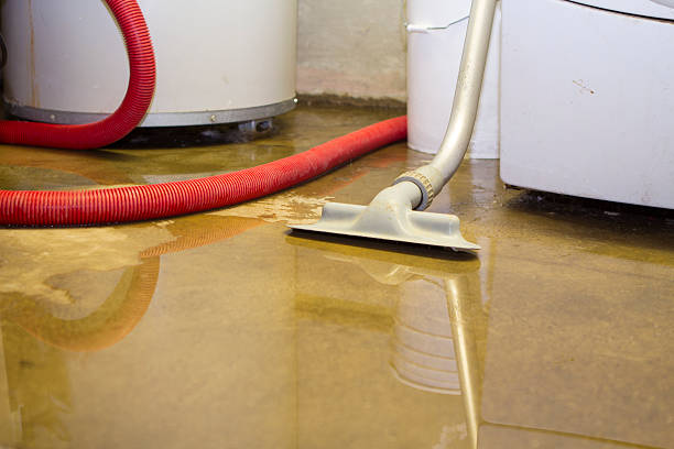 Best Fire Damage Restoration  in Riverdale, GA