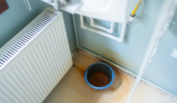 Best Mold removal after water damage  in Riverdale, GA