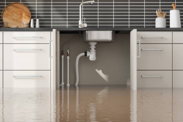 Best Water damage contractors near me  in Riverdale, GA