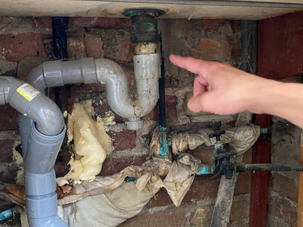 Best Carpet water damage restoration  in Riverdale, GA