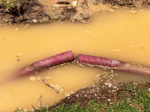 Water damage restoration mold remediation in Riverdale, GA