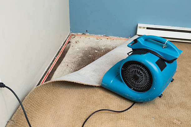Best Water damage restoration services  in Riverdale, GA